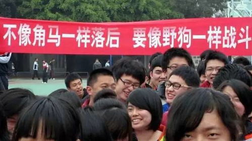 广告人，你的文案输给了高考横幅