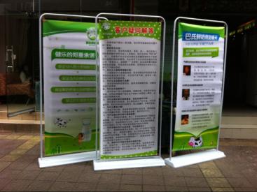 一证在手，驰骋无忧——精选驾校招生，助您轻松驾驶未来